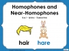 Homophones and Near-Homophones - Year 2 Teaching Resources (slide 1/24)